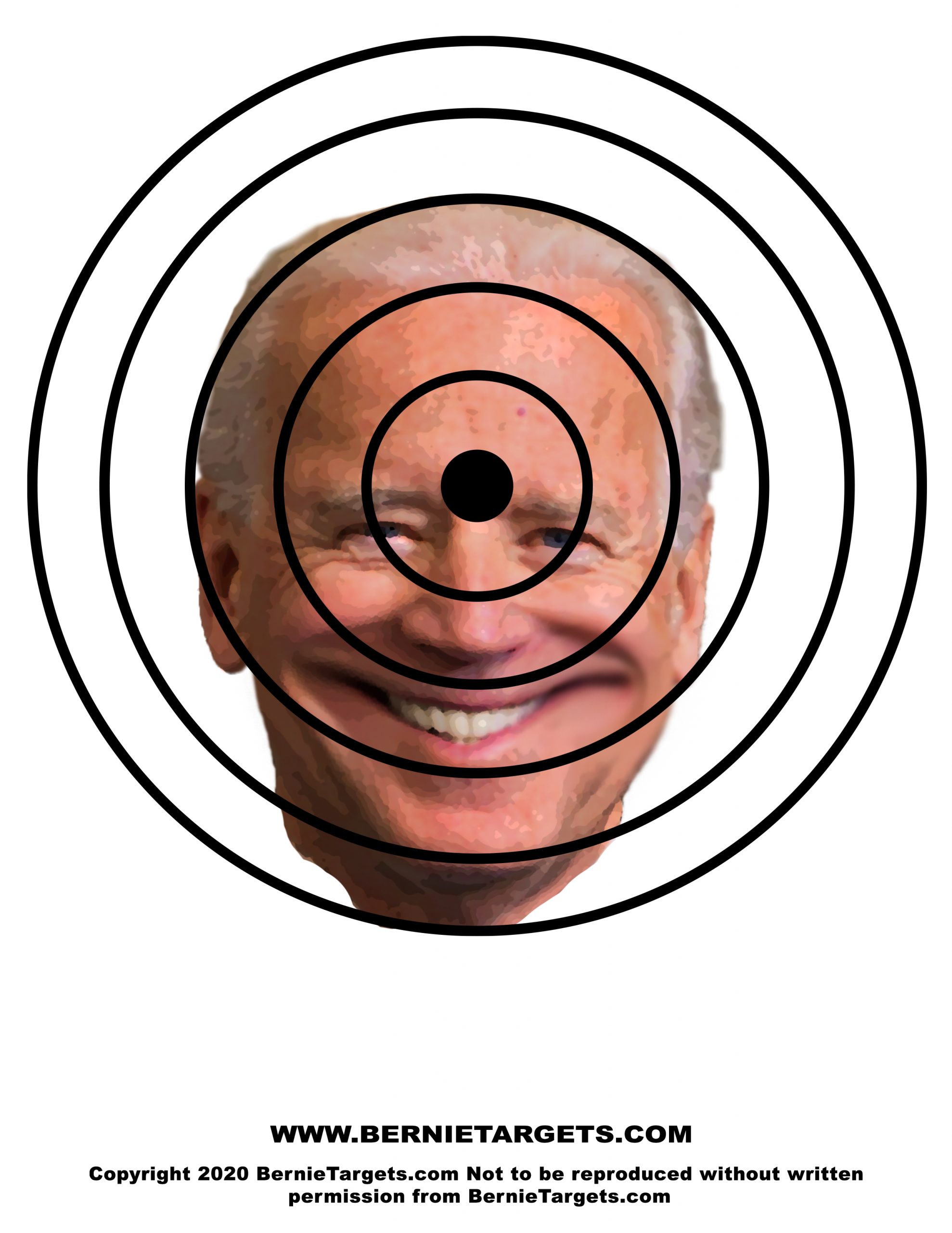 Joe Biden Shooting Targets Hidin’ Biden (8.5″ X 11″) Bernie Targets