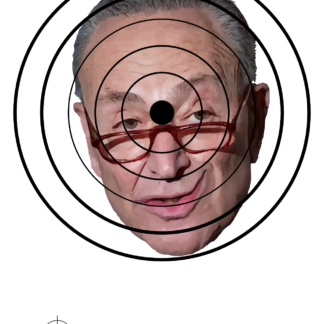 Politically incorrect Chuck Schumer shooting targets for sale