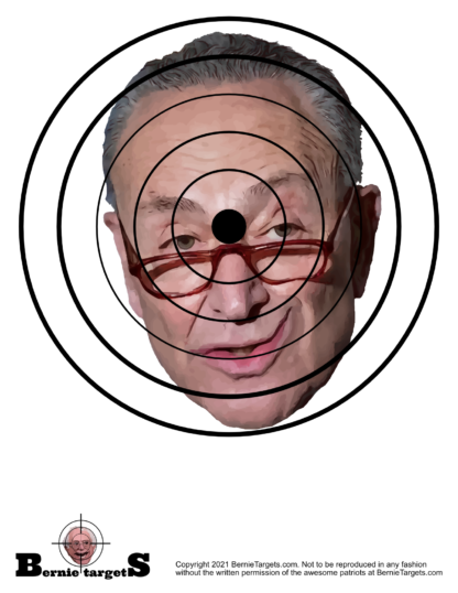 Politically incorrect Chuck Schumer shooting targets for sale