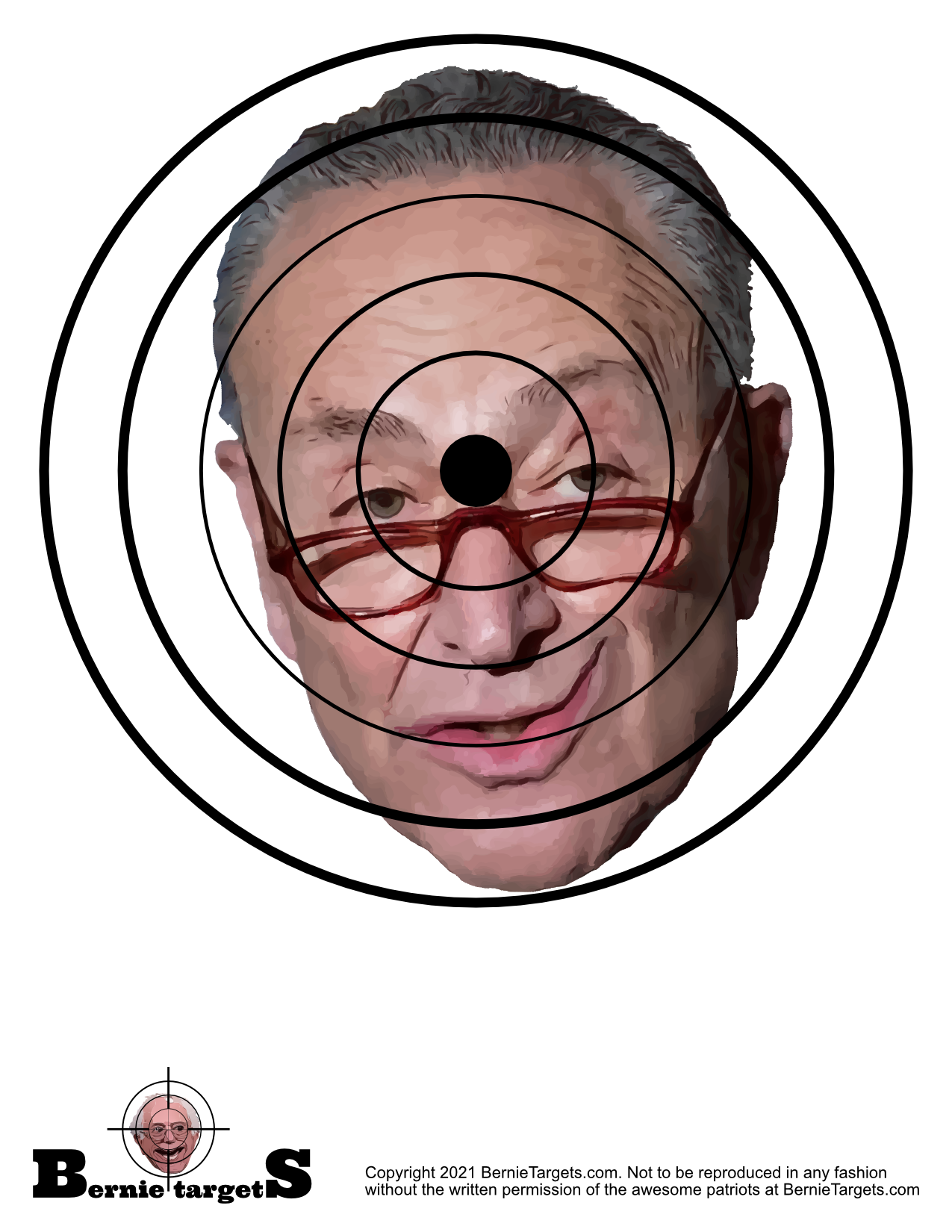 Chuck Schumer Shooting Targets: Cryin Chuck – Small and Large ...